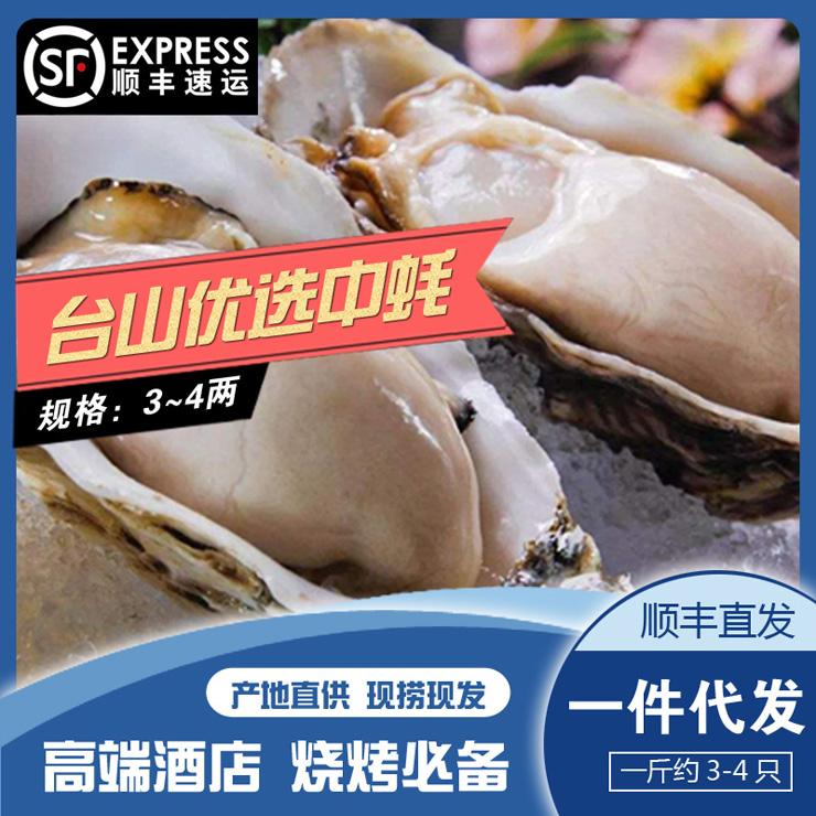 臺山【優選中蠔】3~4兩